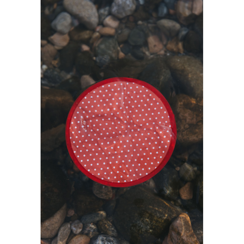 Abanico Polka 2026 | Diseño de topos en fondo rojo | Brisaconcept
