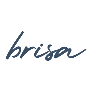Brisaconcept